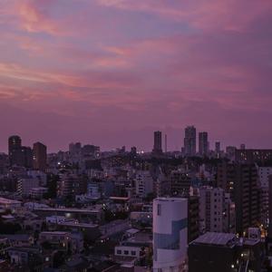 亚洲蝌蚪九色91
